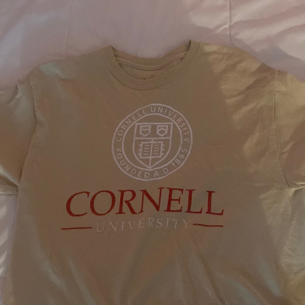 cornell cropped tshirt
